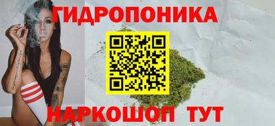 индика Балахна