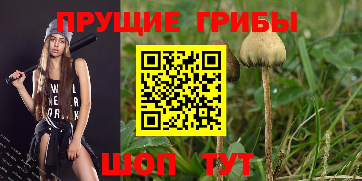 Псилоцибиновые грибы ЛСД  продажа наркотиков  Ейск  Вход с VPN  Псилоцибиновые грибы ЛСД 